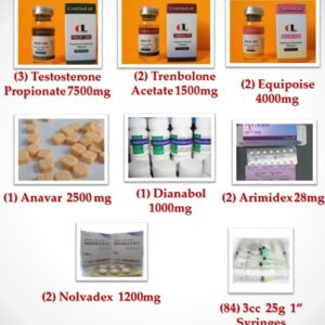 Intermediate Steroid Cycle III